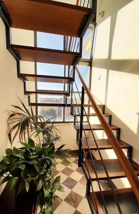 Terrace With View Attic In Old Town Ballarhome ปาแลร์โม ภายนอก รูปภาพ